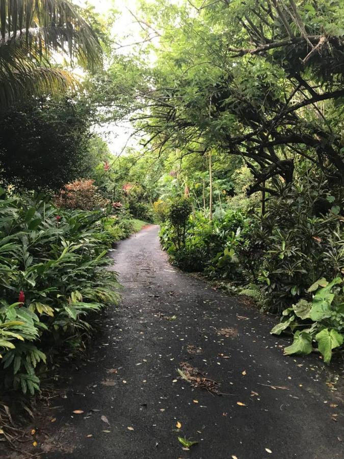 Tropical Garden Self Catering Βίλα Victoria Εξωτερικό φωτογραφία