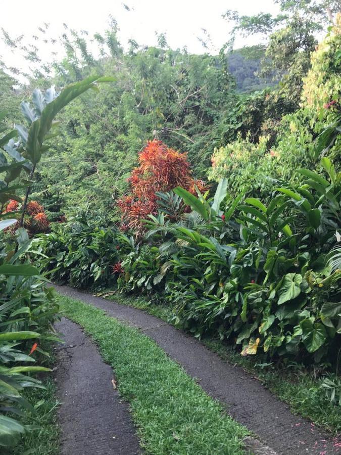Tropical Garden Self Catering Βίλα Victoria Εξωτερικό φωτογραφία