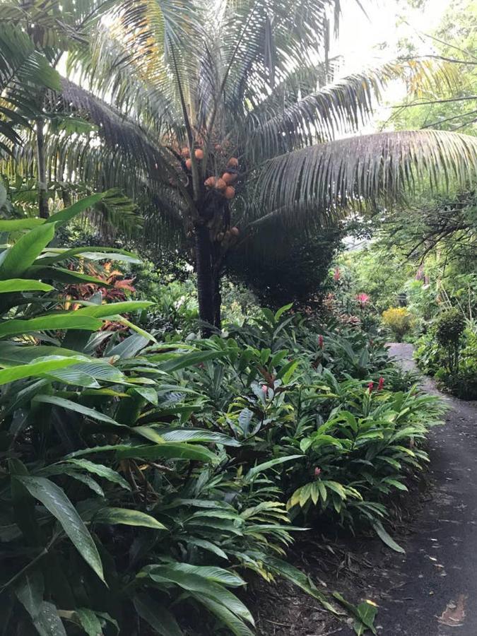 Tropical Garden Self Catering Βίλα Victoria Εξωτερικό φωτογραφία